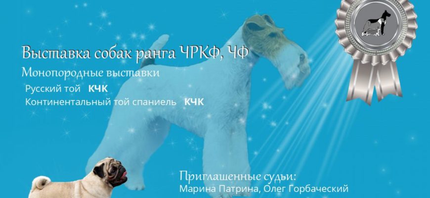 Уфа. 02.07.2022. Выставка собак, клуб - РОО КЦ НУРЭТ РБ. Ранг ЧРКФ, монопородные выставки